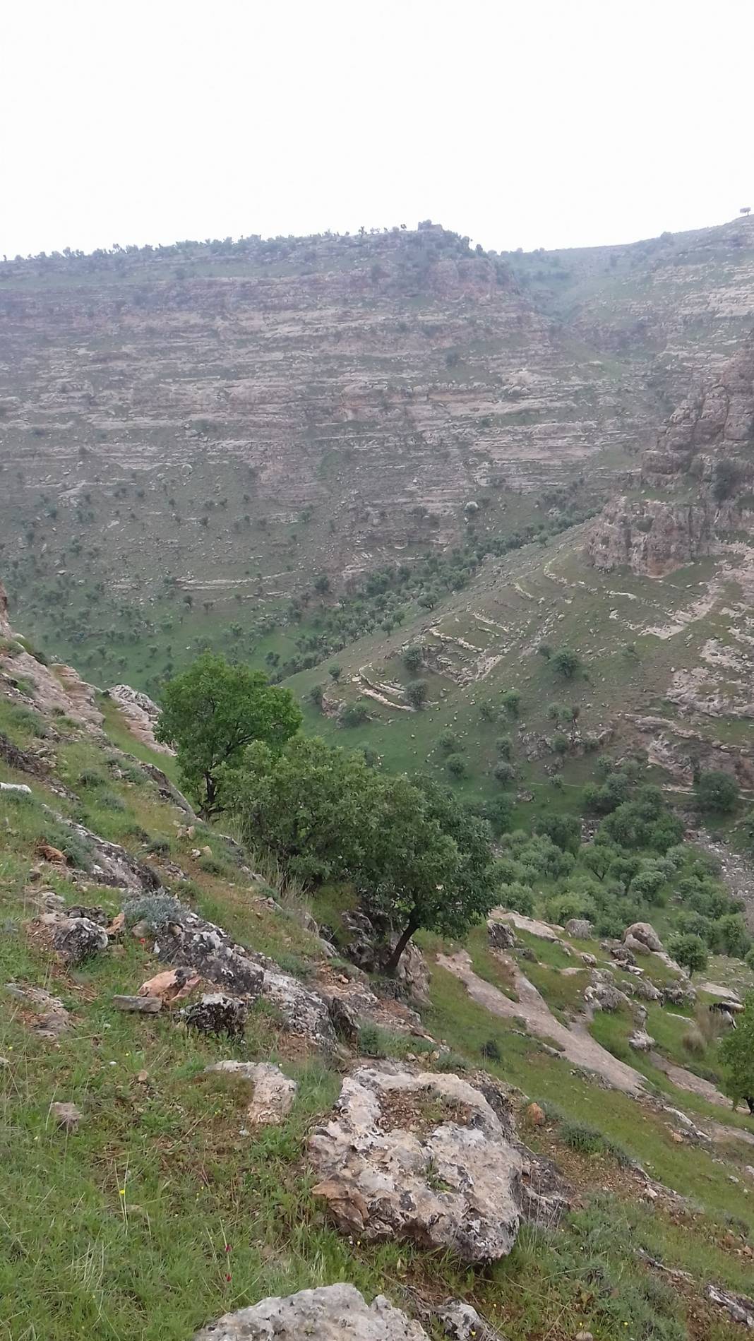 Güçlükonak Çobankazanı Köyü Resimleri 10