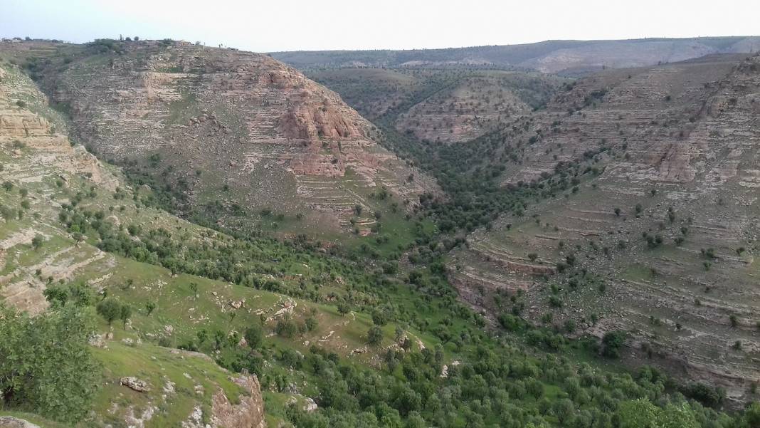 Güçlükonak Çobankazanı Köyü Resimleri 11