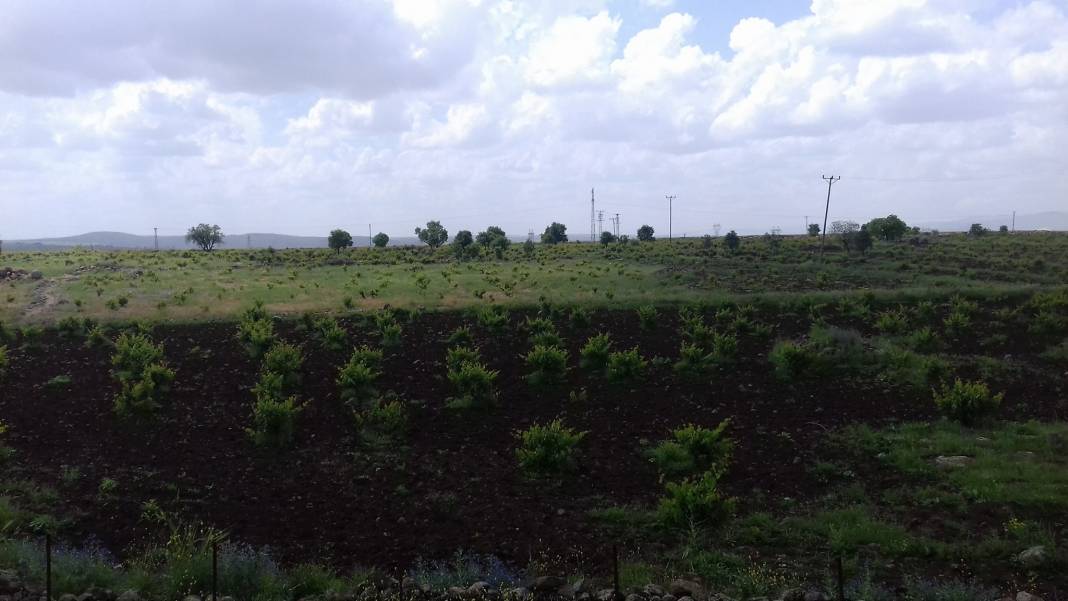 Güçlükonak Çobankazanı Köyü Resimleri 12