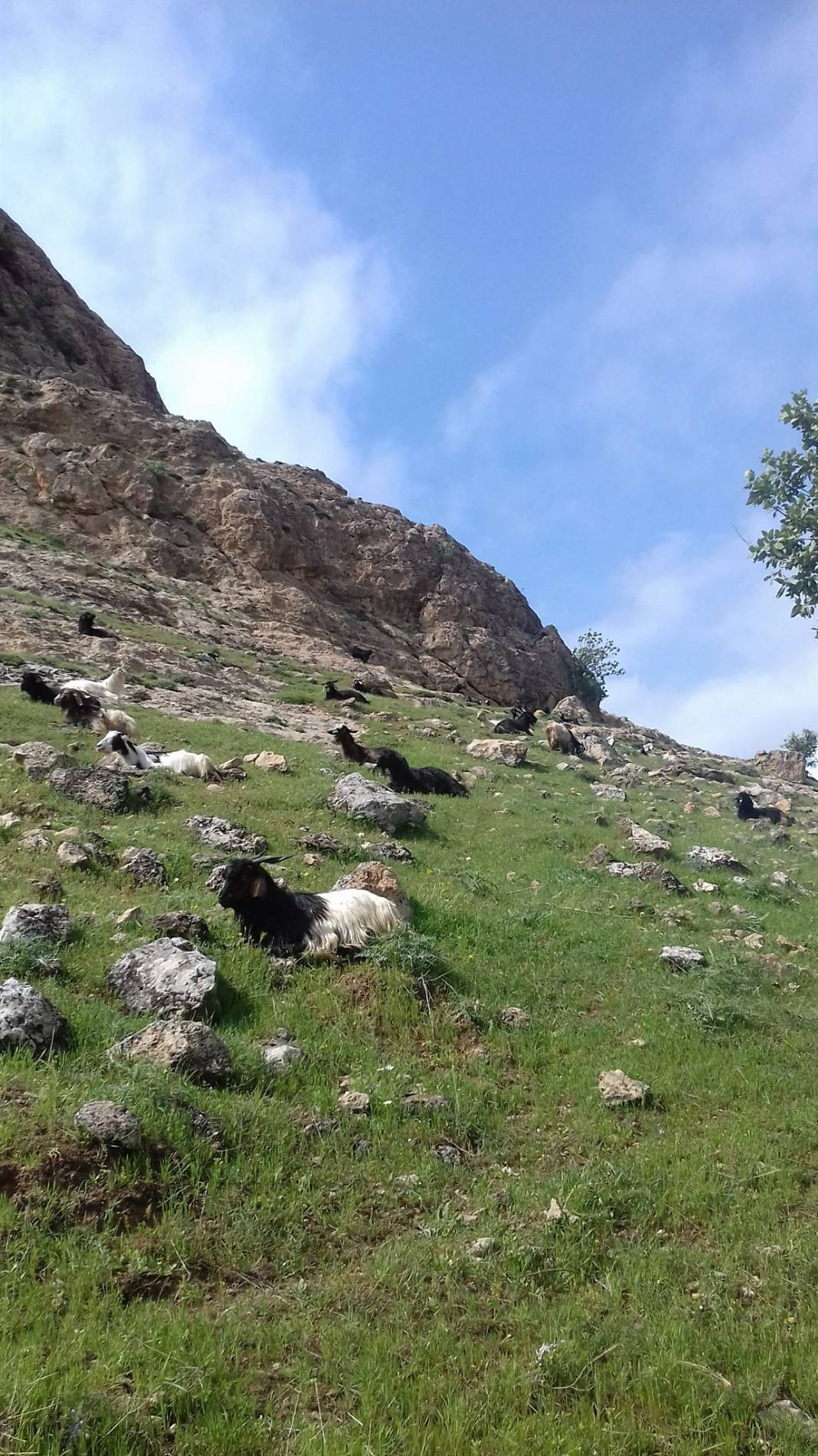 Güçlükonak Çobankazanı Köyü Resimleri 8