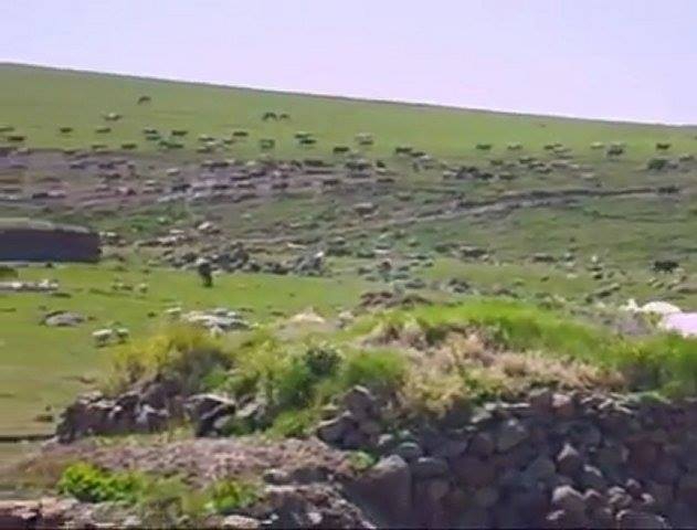 Ardahan Samanbeyli Köyü Resimleri 8