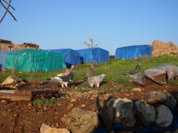 Güçlükonak Ormaniçi Köyü Resimleri 1