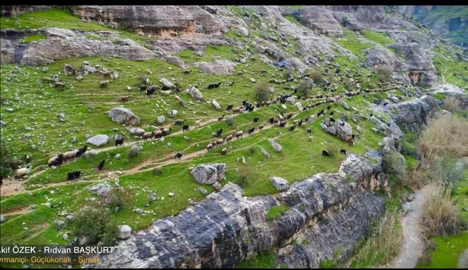 Güçlükonak Ormaniçi Köyü Resimleri 11