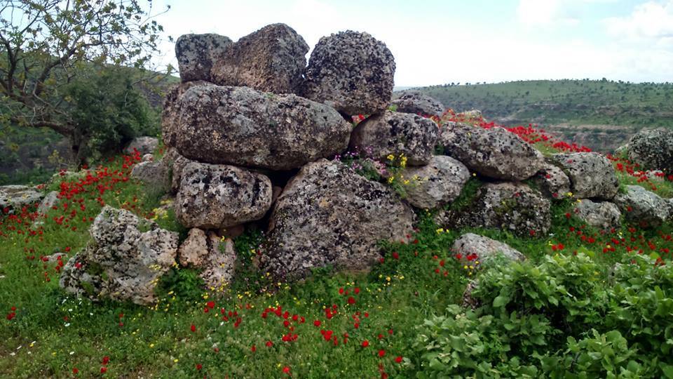 Güçlükonak Ormaniçi Köyü Resimleri 2
