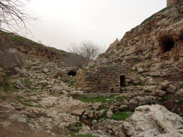 Güçlükonak Ormaniçi Köyü Resimleri 4