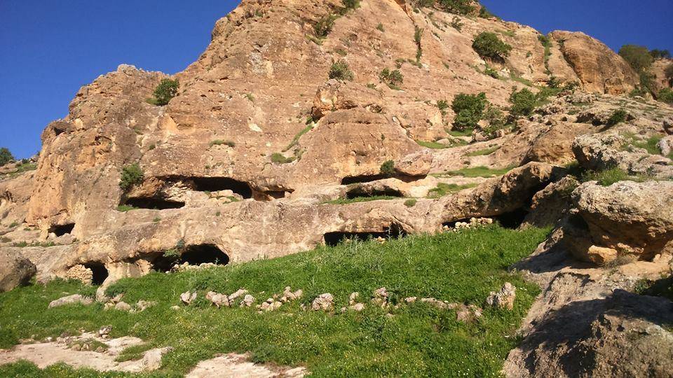 Güçlükonak Ormaniçi Köyü Resimleri 5