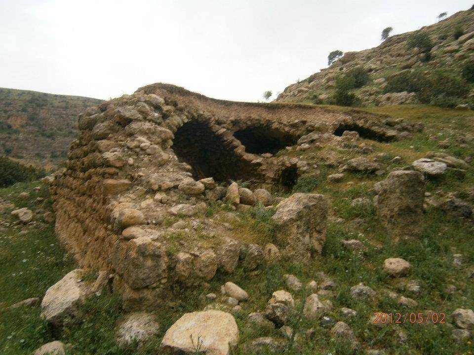 Güçlükonak Ormaniçi Köyü Resimleri 7