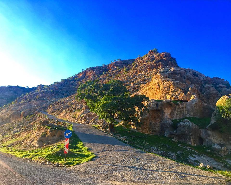 Güçlükonak Ormaniçi Köyü Resimleri 8