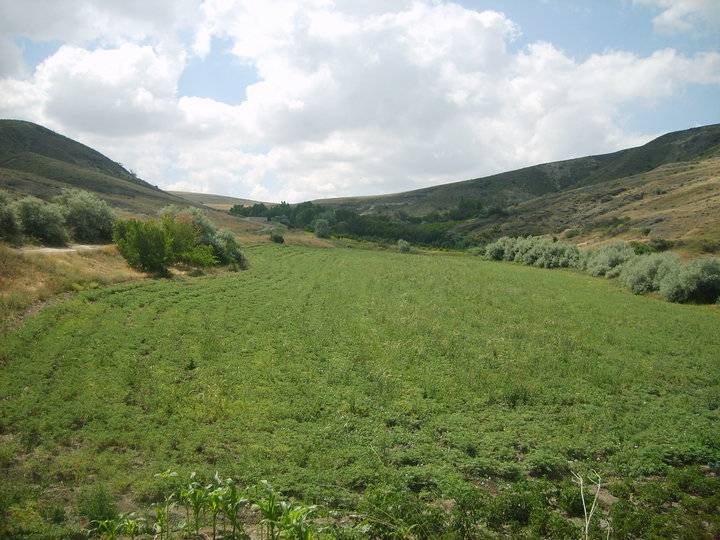 Yozgat Derekışla Köyü Resimleri 5