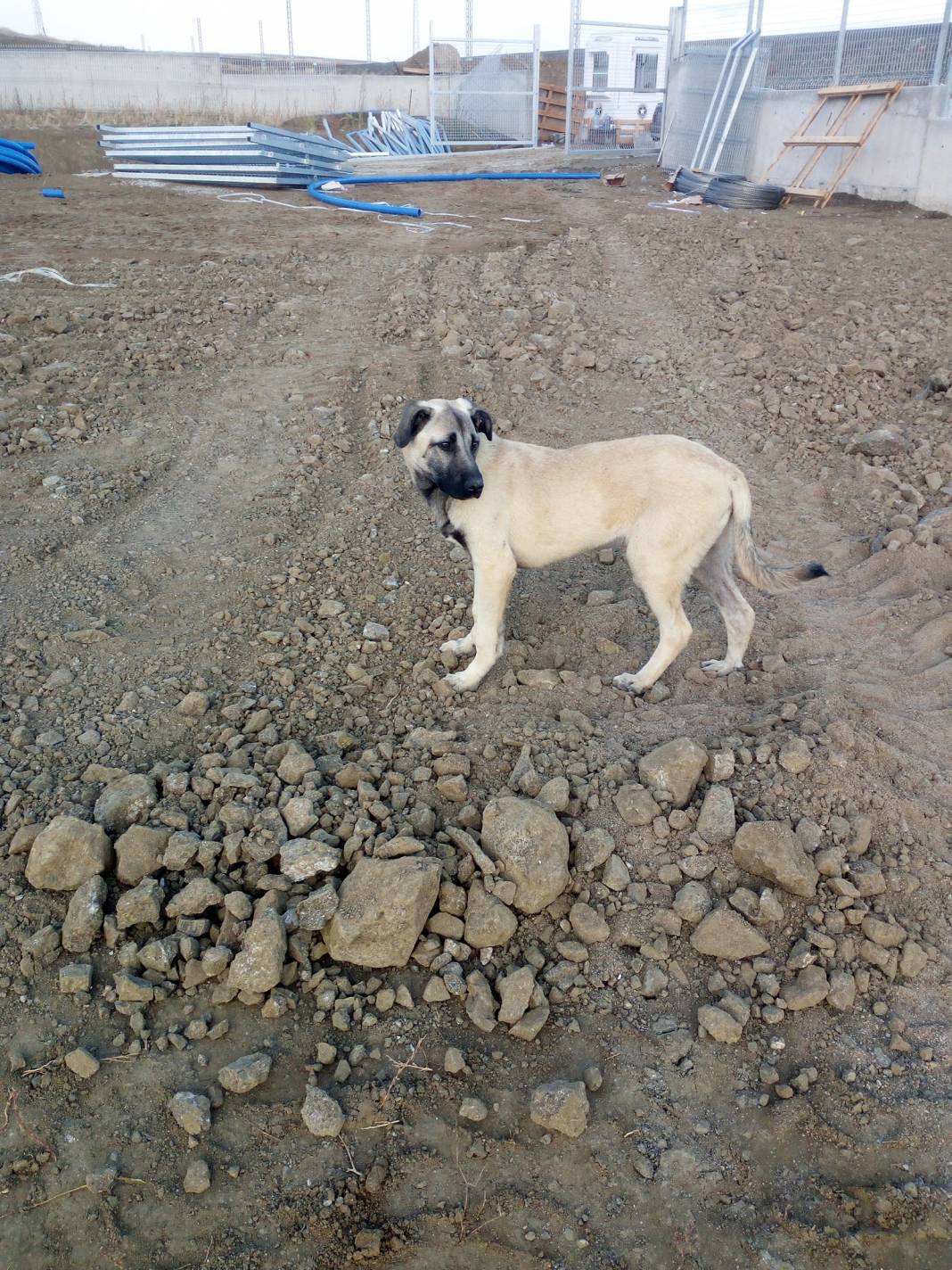 Yozgat Divanlı Köyü Resimleri 6