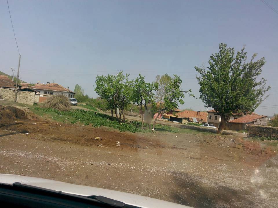 Yozgat Fakıbeyli Köyü Resimleri 1