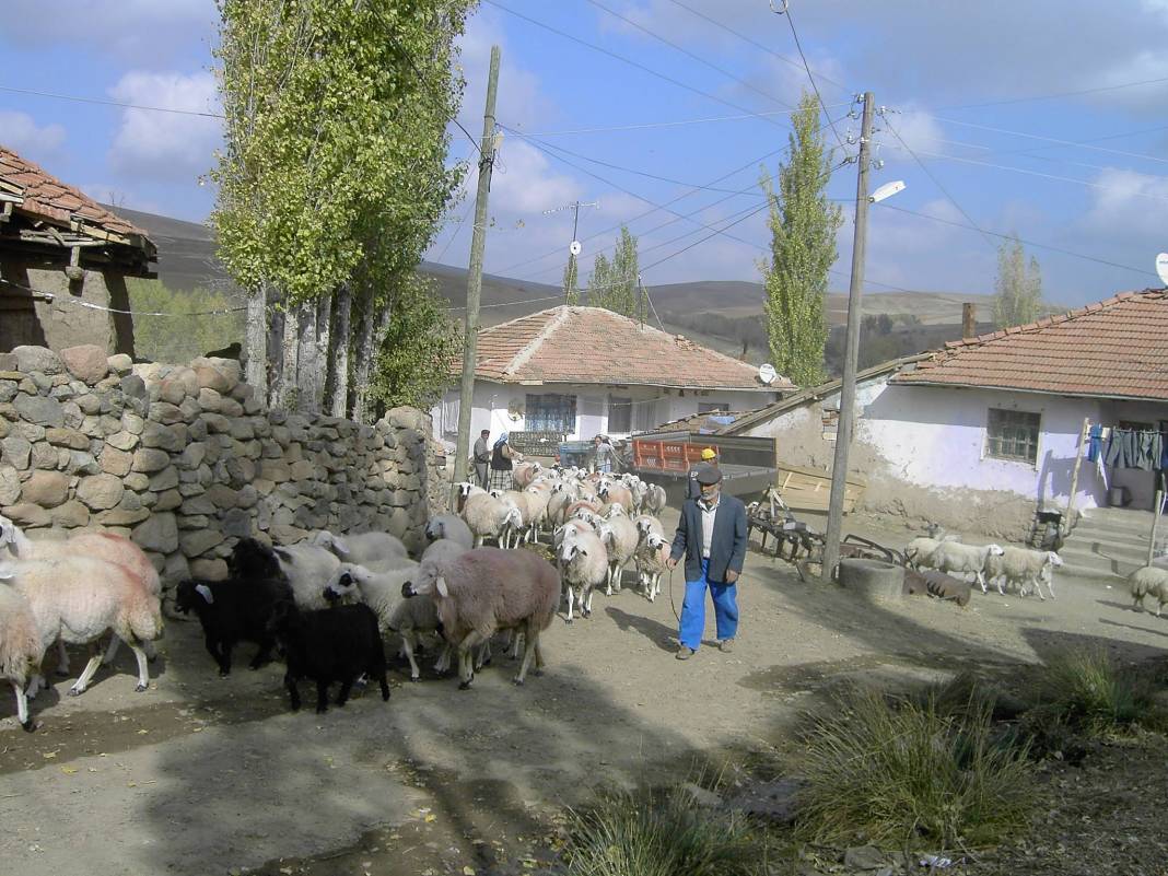 Yozgat Gevrek Köyü Resimleri 1
