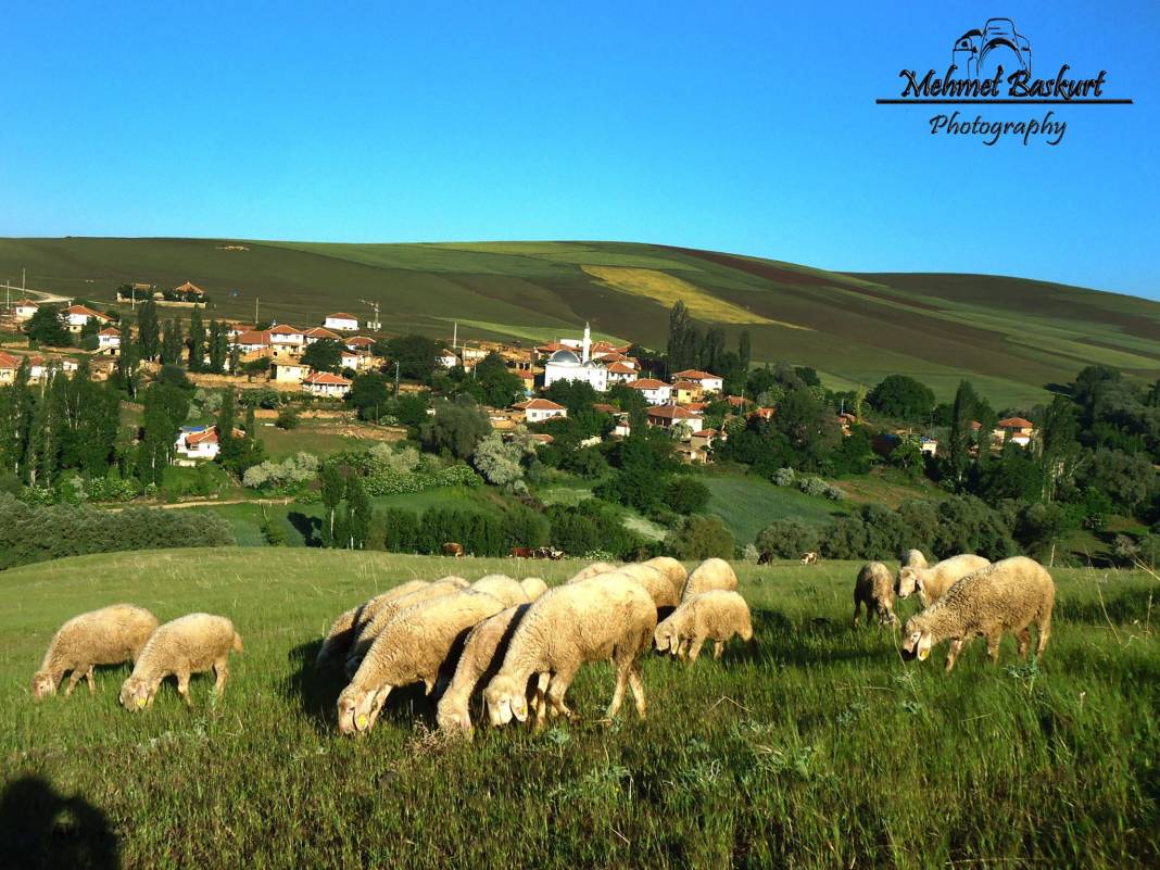 Yozgat Gevrek Köyü Resimleri 4