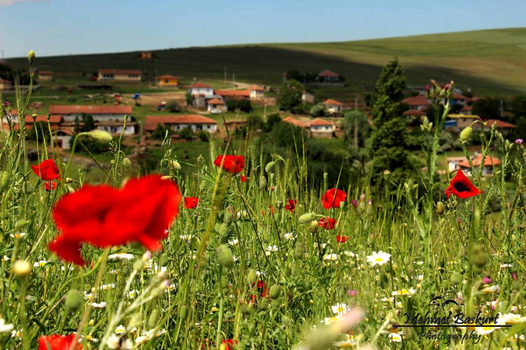 Yozgat Gevrek Köyü Resimleri 9