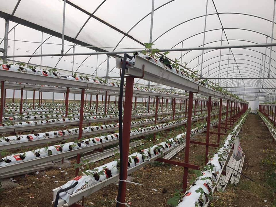 Yozgat Gökçekışla Köyü Resimleri 4