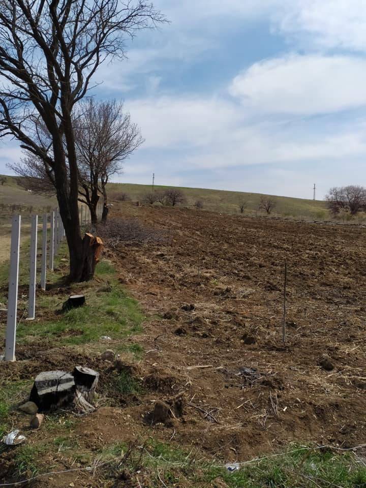 Yozgat Gökçekışla Köyü Resimleri 5