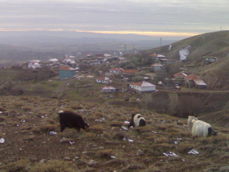 Yozgat Güllüoluk Köyü Resimleri 13