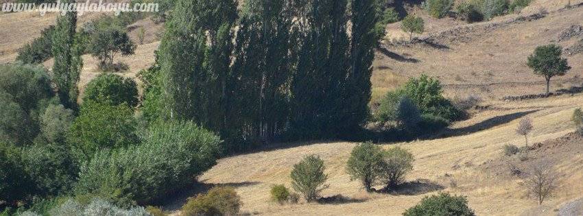 Yozgat Gülyayla Köyü Resimleri 1