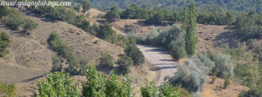 Yozgat Gülyayla Köyü Resimleri 12