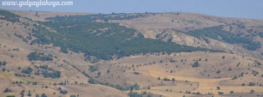 Yozgat Gülyayla Köyü Resimleri 13