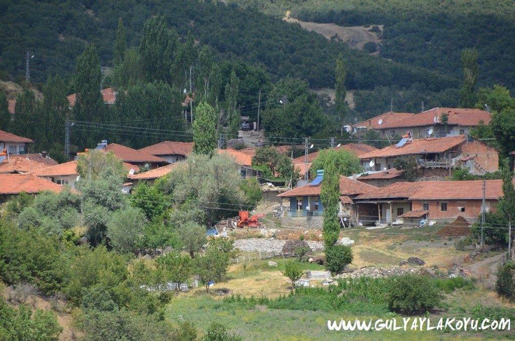 Yozgat Gülyayla Köyü Resimleri 14