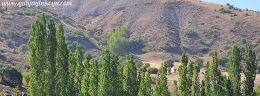 Yozgat Gülyayla Köyü Resimleri 9