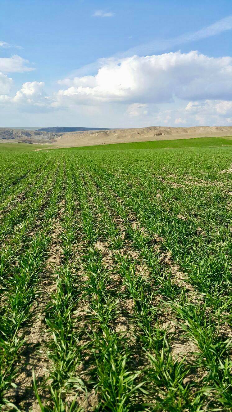 Yozgat Hamzalı Köyü Resimleri 8