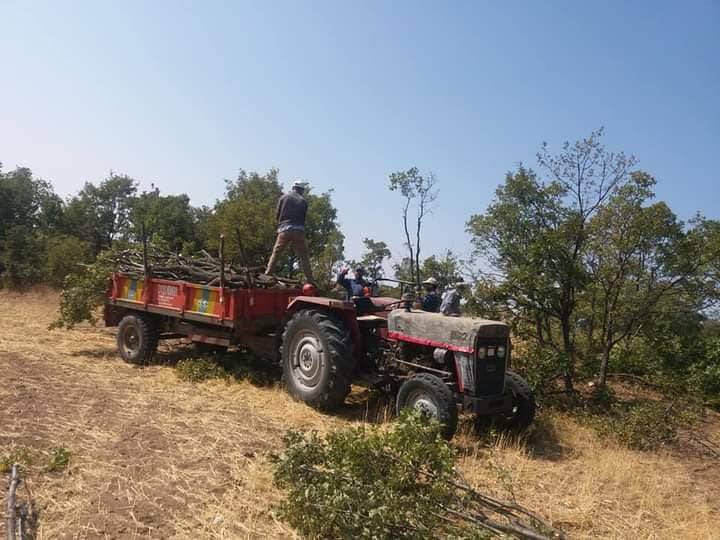 Yozgat Haydarbeyli Köyü Resimleri 5