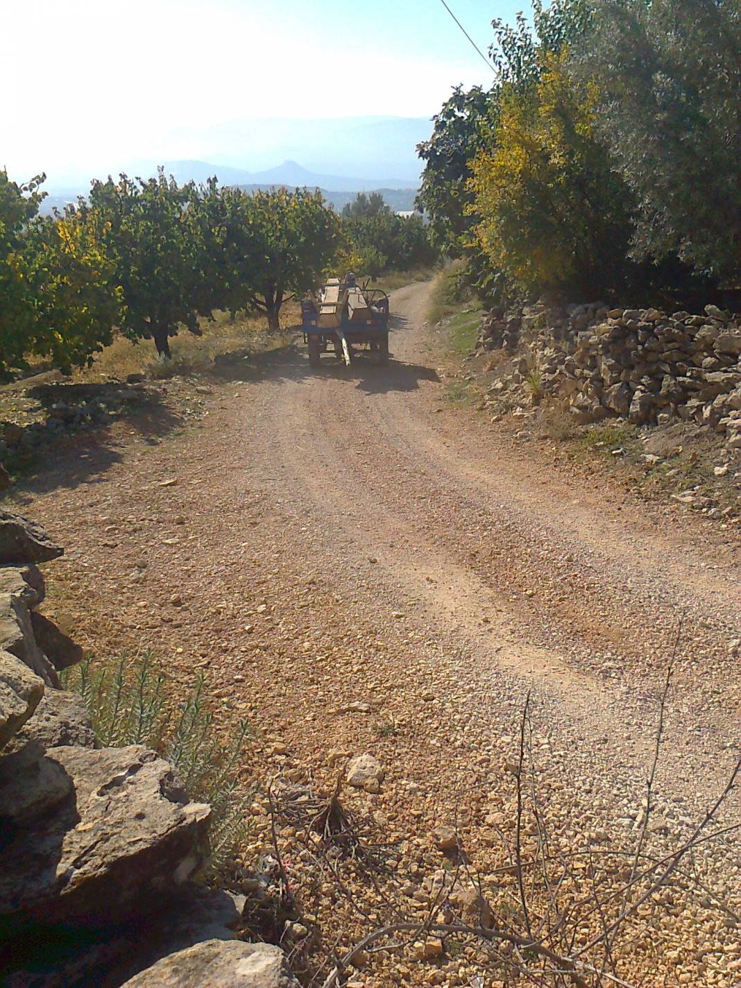 Mut Kelceköy Köyü Resimleri 16