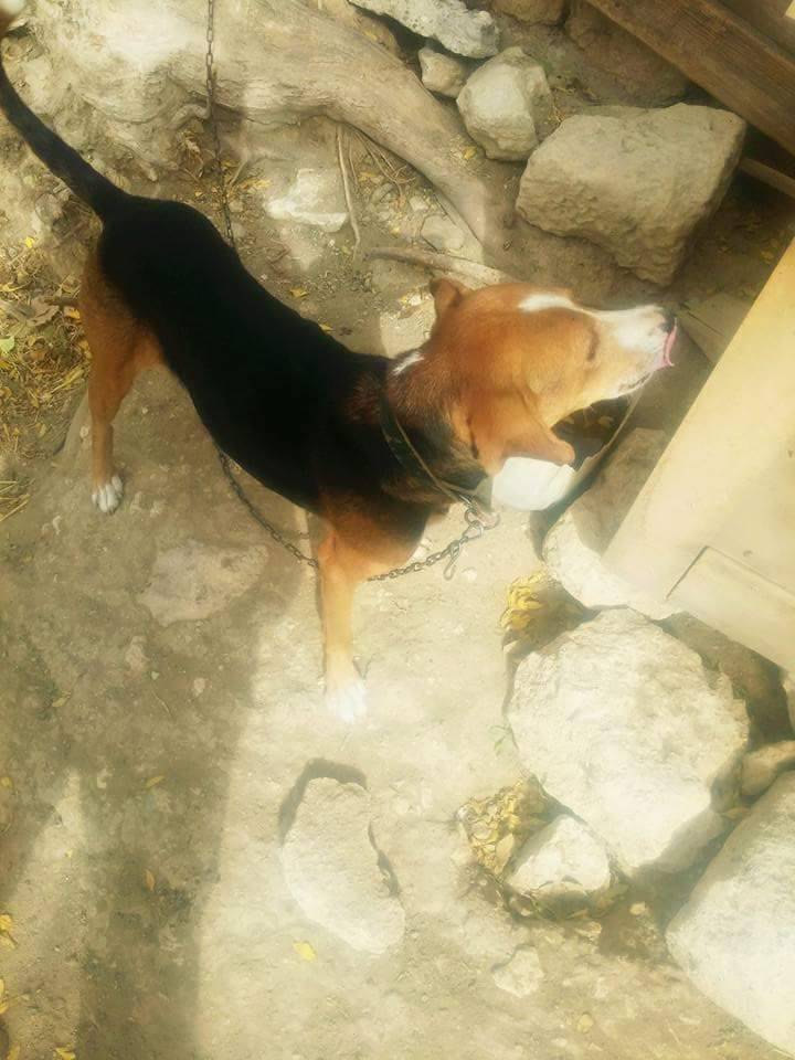 Mut Kelceköy Köyü Resimleri 18