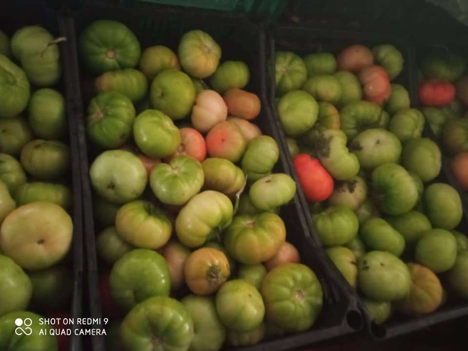 Mut Kemenli Köyü Resimleri 12