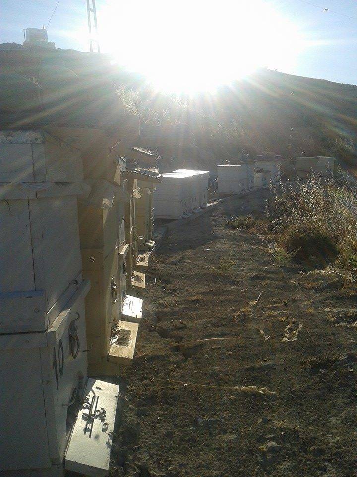 Mut Kemenli Köyü Resimleri 5