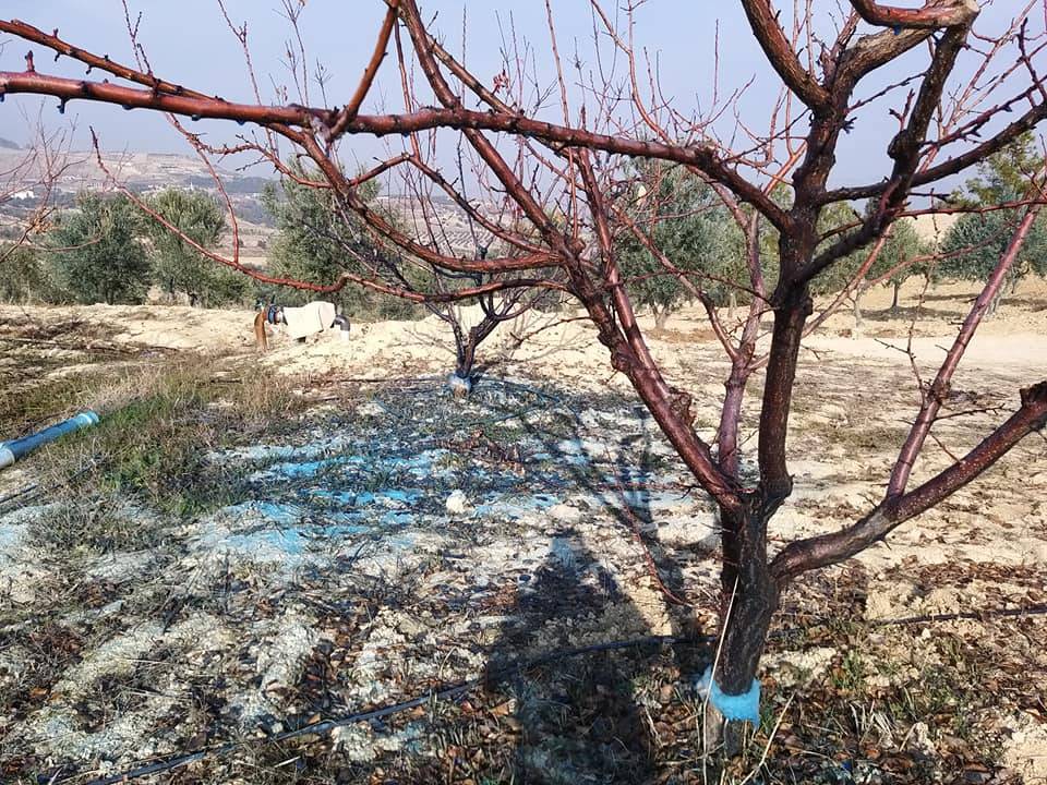 Mut Köselerli Köyü Resimleri 8