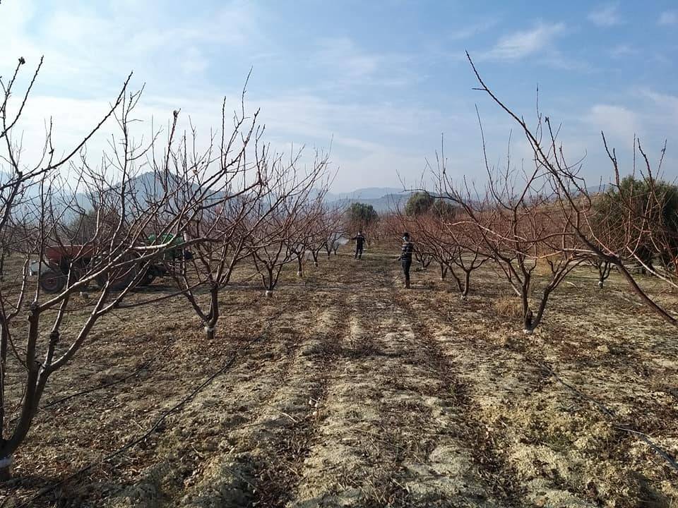 Mut Köselerli Köyü Resimleri 9