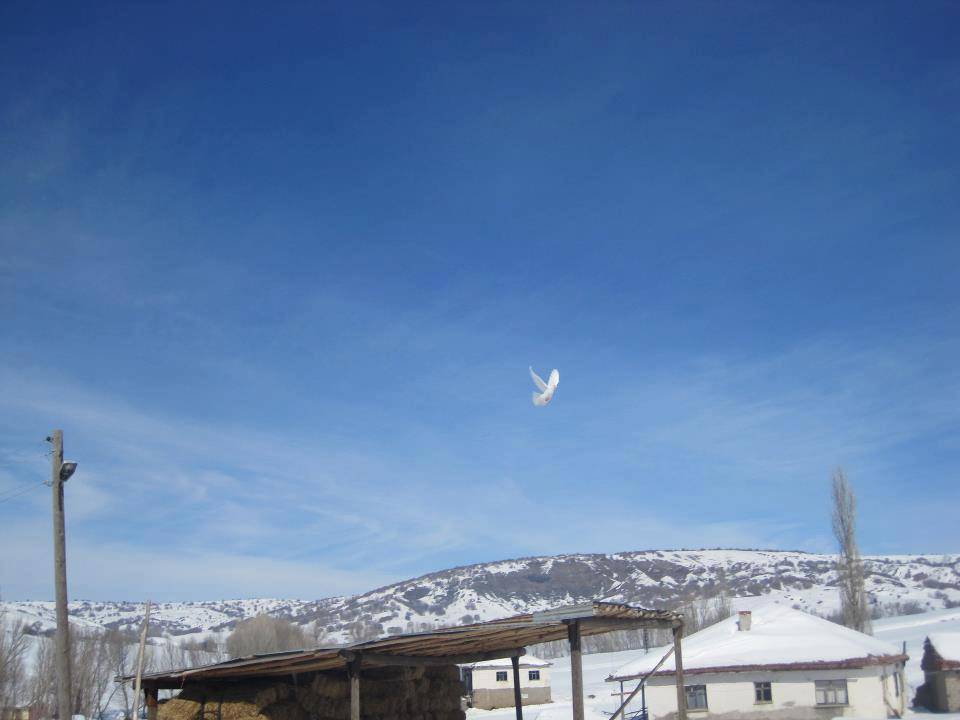 Yozgat Kızıltepe Köyü Resimleri 16