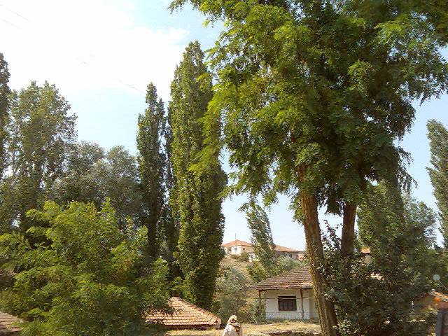 Yozgat Kızıltepe Köyü Resimleri 5