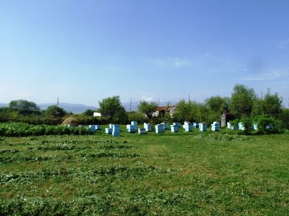 Ardahan Sulakyurt Köyü Resimleri 9