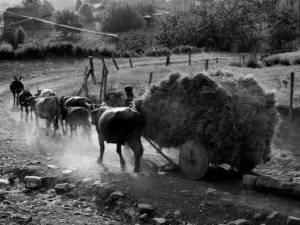 Yozgat Körpeli Köyü Resimleri 1