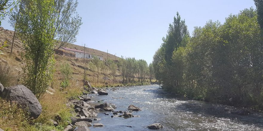 Ardahan Taşlıdere Köyü Resimleri