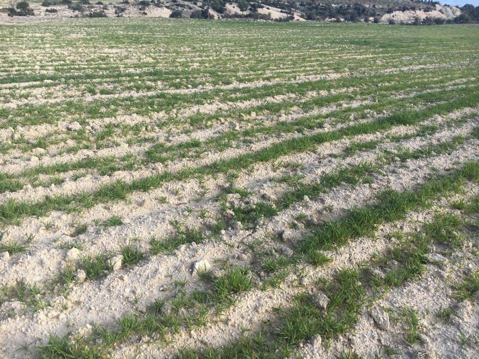 Mut Kürkçü  Köyü Resimleri 5