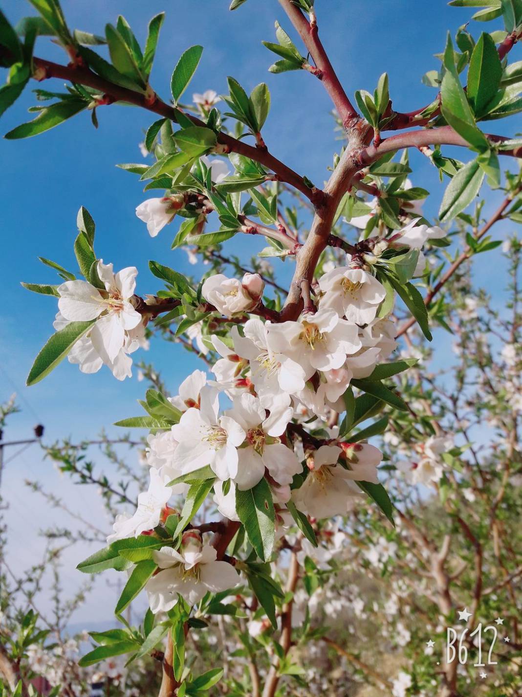 Mut Özlü Köyü  Resimleri 8