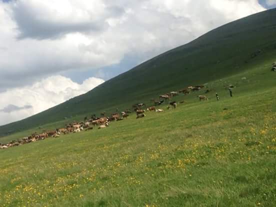 Ardahan Tazeköy Köyü Resimleri 7