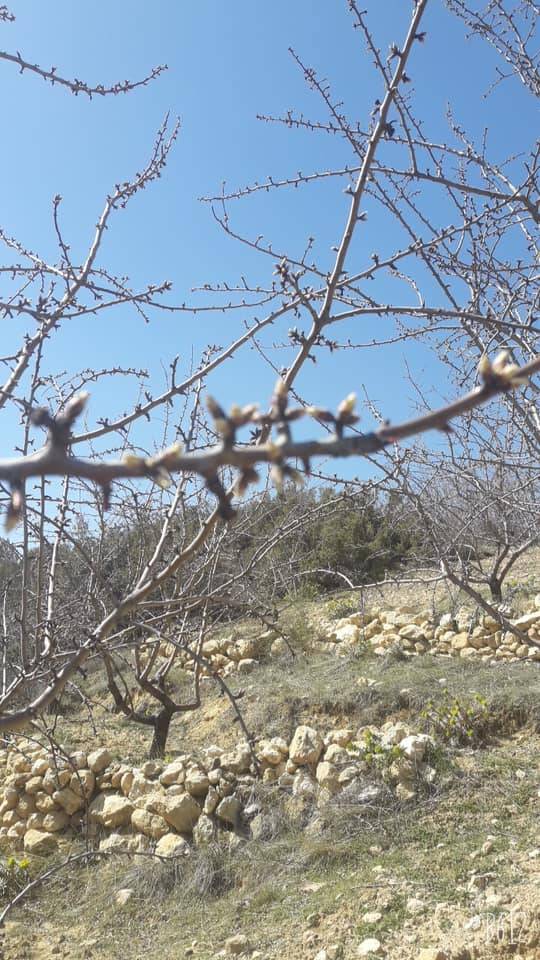 Mut Pamukkale Köyü Resimleri 18