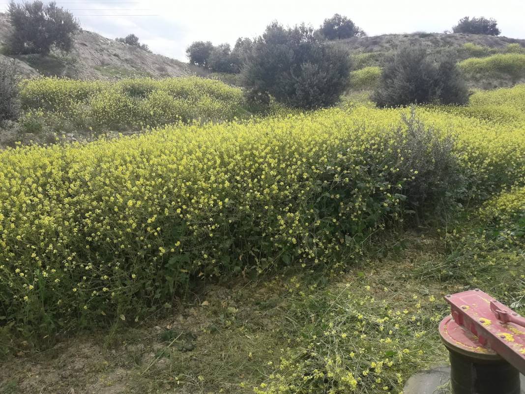 Mut Sarıveliler Köyü Resimleri 12