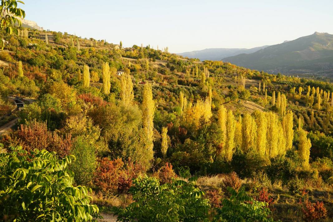 Mut Sarıveliler Köyü Resimleri 4