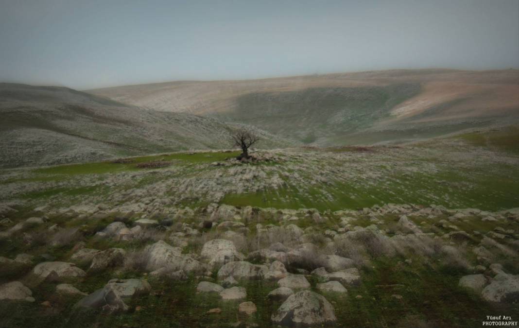 İdil Akdağ Köyü Resimleri 5