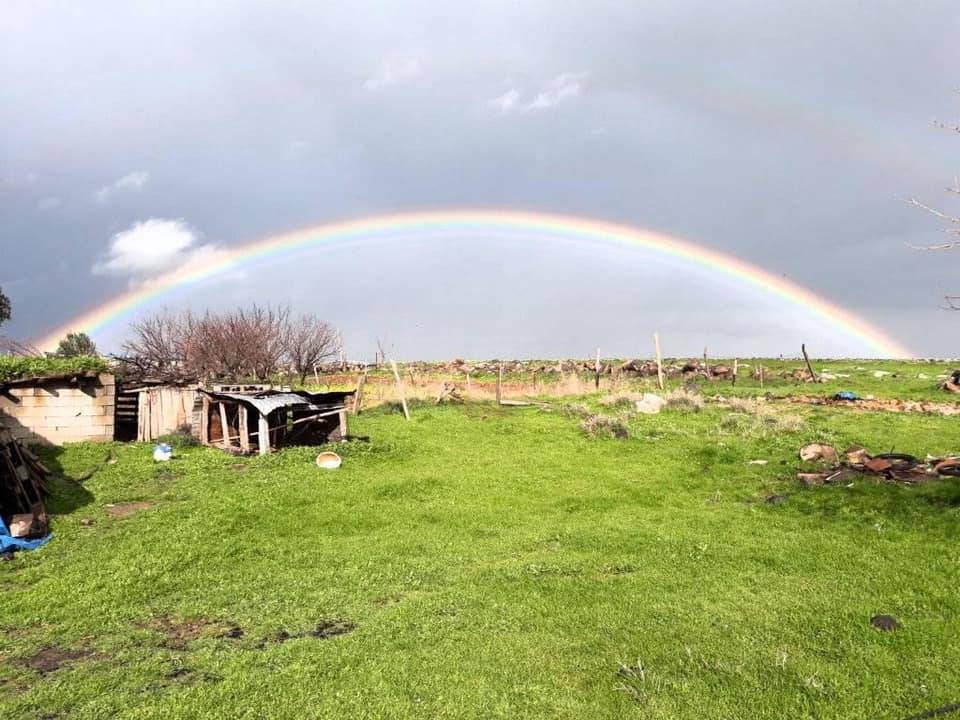 İdil Alakamış Köyü Resimleri 2