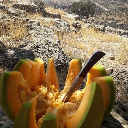 İdil Bereketli Köyü Resimleri 2