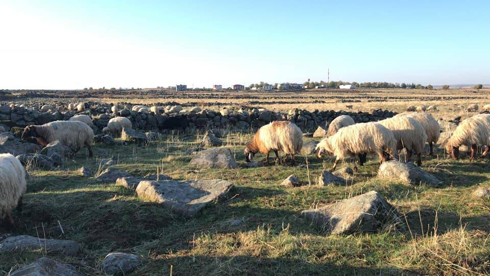 İdil Bereketli Köyü Resimleri 4