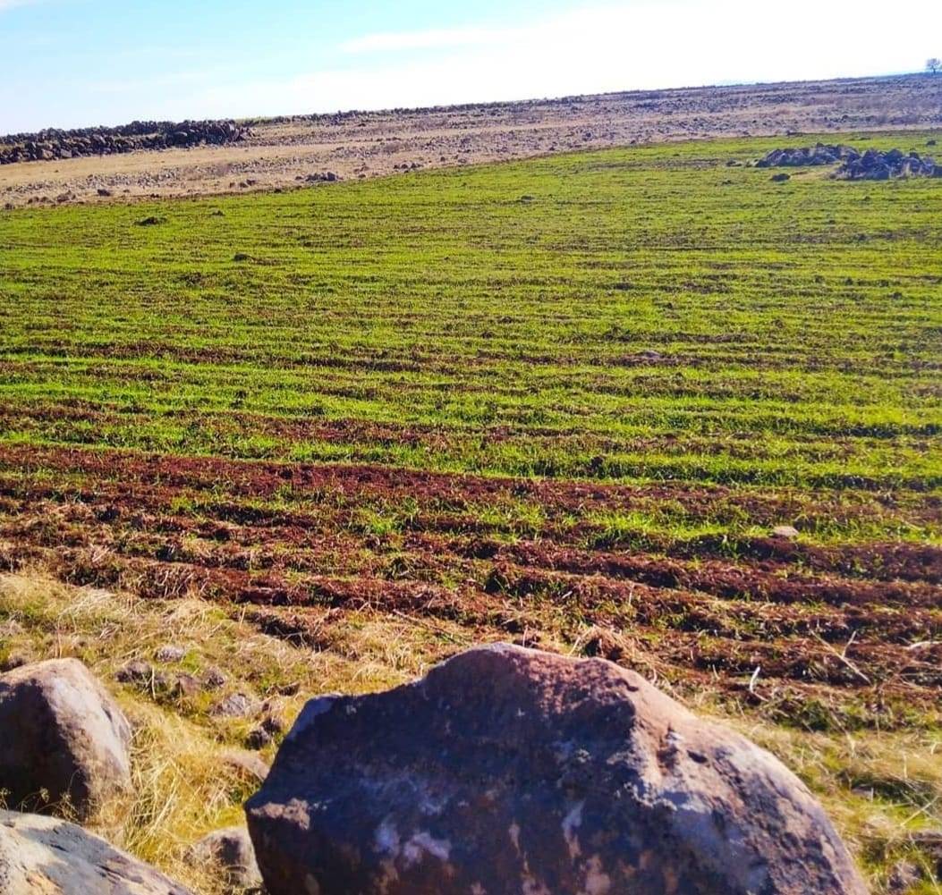 İdil Bereketli Köyü Resimleri 6